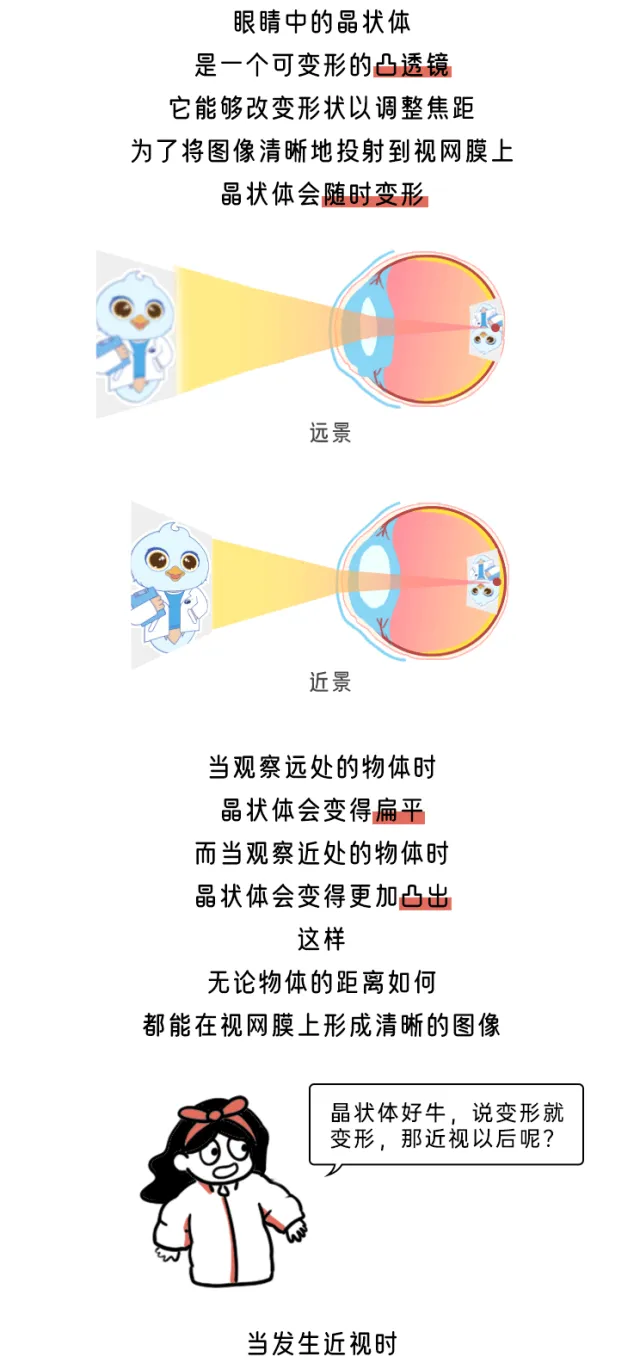 图片10.png